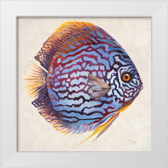 Pinto, Patricia 26x26 White Modern Wood Framed Museum Art Print Titled - Little Fish I