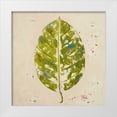 thumbnail image 1 of Pinto, Patricia 26x26 White Modern Wood Framed Museum Art Print Titled - The Green Ones I, 1 of 4