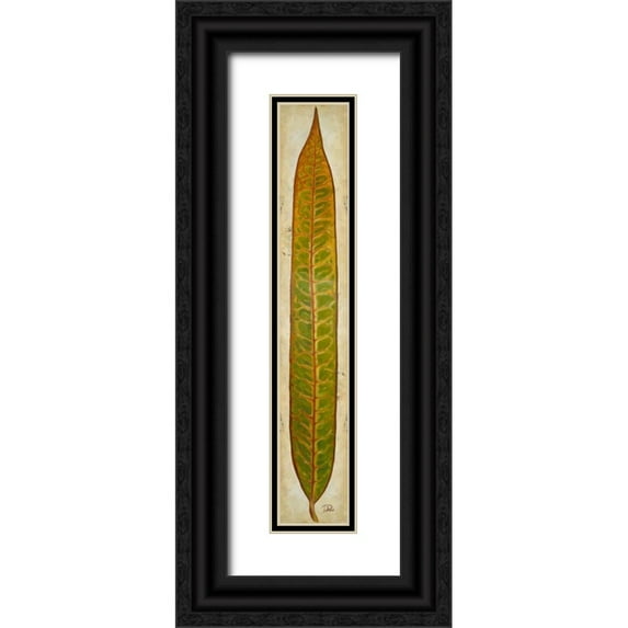 Pinto, Patricia 6x14 Black Ornate Wood Framed with Double Matting Museum Art Print Titled - Crotos II