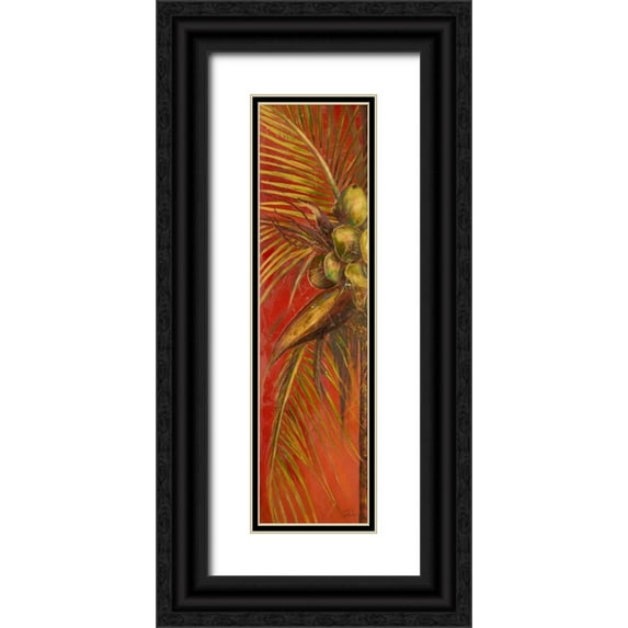 Pinto, Patricia 9x24 Black Ornate Wood Framed with Double Matting Museum Art Print Titled - Mis Cocos I