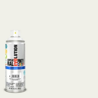 Pintyplus Aqua Spray Paint - Art Set of 6 Water Based 4.2oz Mini Spray  Paint Cans. Ultra Matte Finish. Perfect For Arts & Crafts. Spray Paint Set