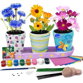 4 Set Paint & Plant Ceramic Flower Gardening Kit - Crafts for Girls Ages  8-12, Arts and Crafts for Kids Ages 8-12, Art Supplies for Kids, Toys  Birthday Gifts for Girls Boys