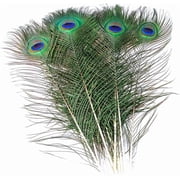 Piokio 30 pcs Peacock Feathers in Bulk 16-18inch40-45 cm Bulk for DIY Craft, Wedding, Halloween Decoration