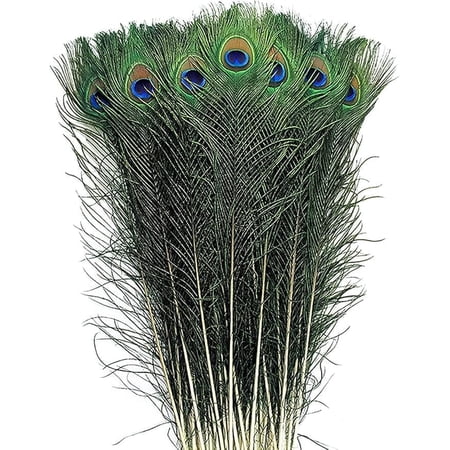 Piokio 30 pcs Peacock Feathers in Bulk 20-23inch(50-60 cm) Bulk for DIY Craft, Wedding, Halloween Decoration