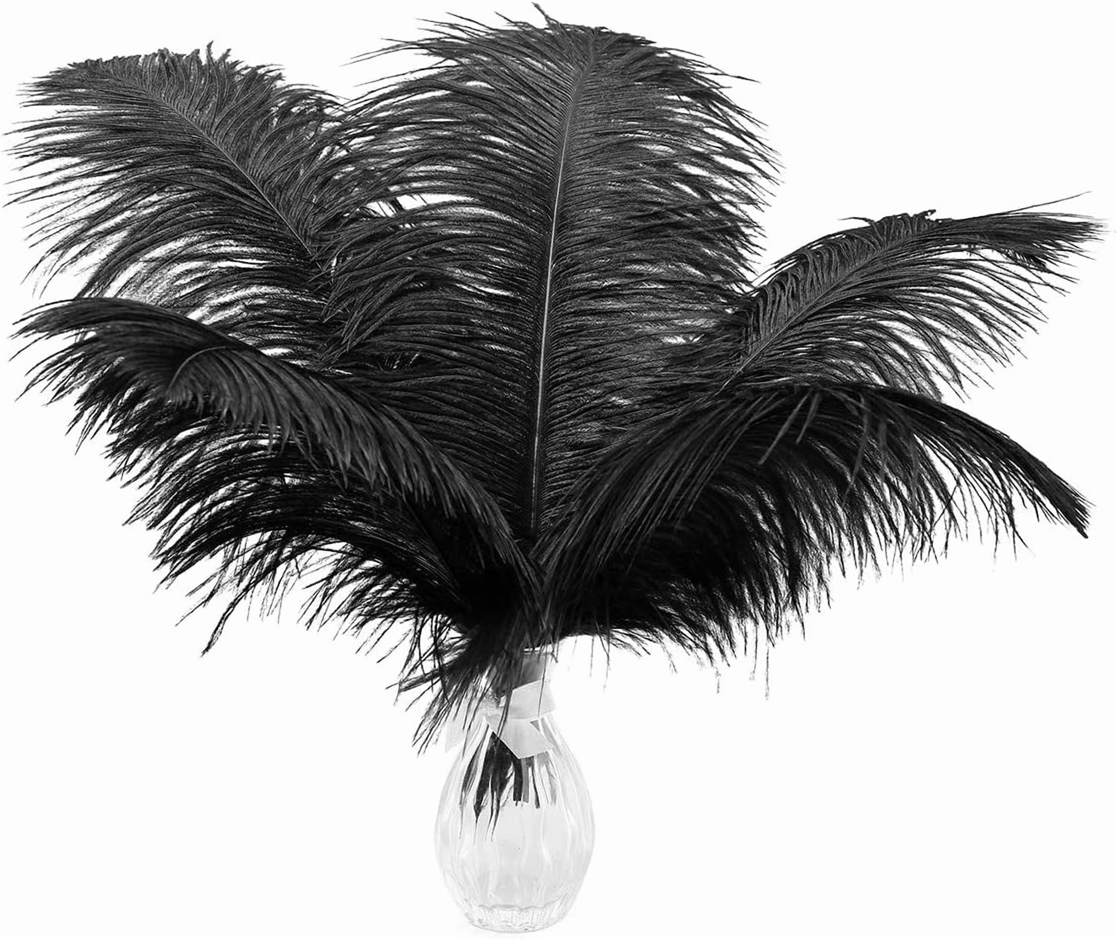 Piokio 40 pcs Black Ostrich Feathers Plumes 12-14 inch(30-35 cm) Bulk for Wedding Party Centerpieces and DIY Clothes Decoration, Gatsby Decorations