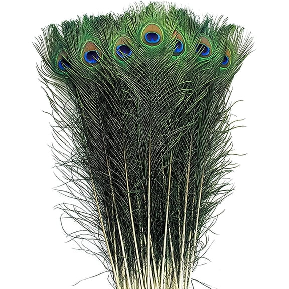 Piokio 50 pcs Natural Peacock Feathers in Bulk 20-23inch (50-60 cm) Bulk for DIY Craft, Wedding, Decoration