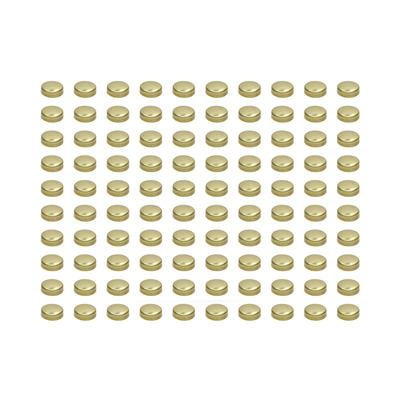 Pioneer Brass 1-5/8 Inch Expansion Plugs Set of 100