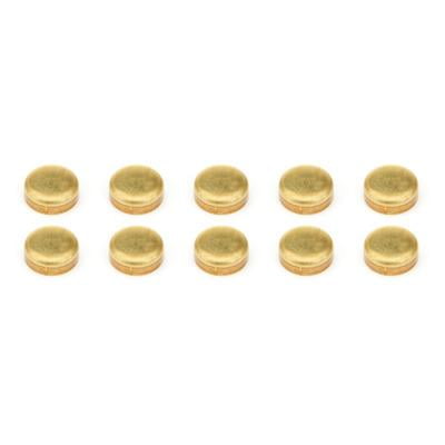 Pioneer Expansion Plugs - Brass 1-3/8 Pioneer Expansion Plugs - Brass 1-3/8