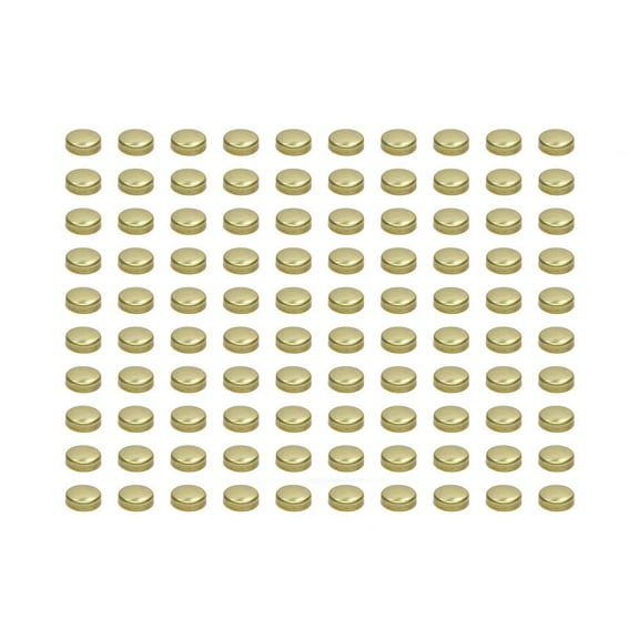 Pioneer Expansion Plugs - 1-5/8 Brass (100pk)