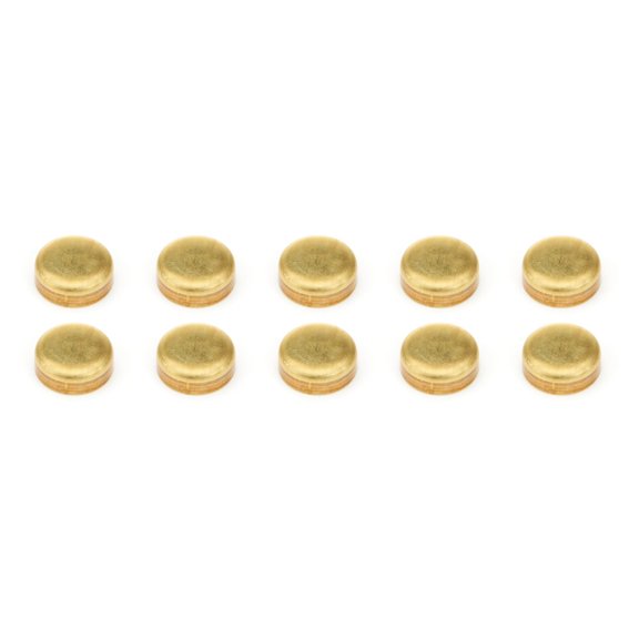 Pioneer Expansion Plugs 10pk - Brass 1-3/8 Dia