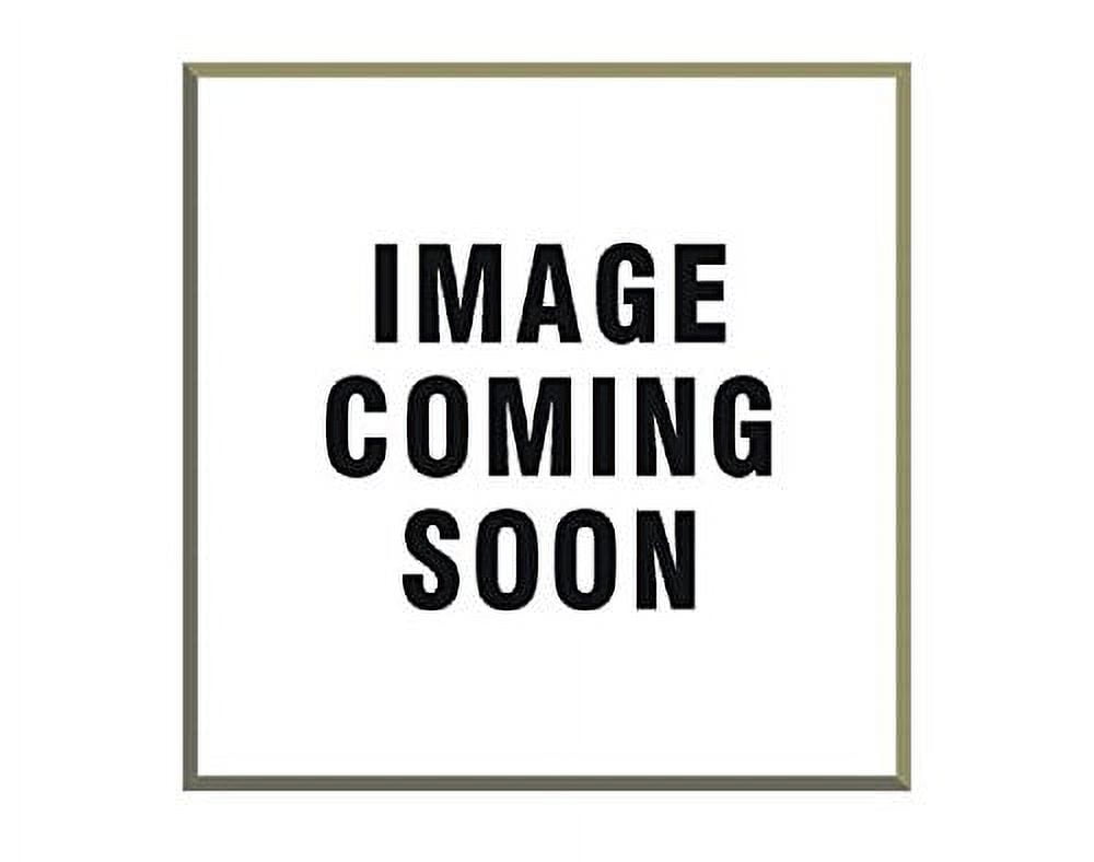 Pioneer FRA203 Flywheel Assembly