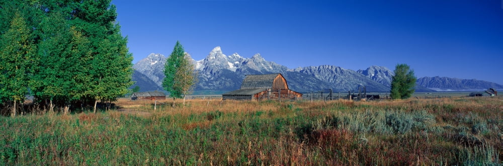 Pioneer Farm Grand Teton National Park Wyoming Canvas Art - Panoramic Images (27 x 9)