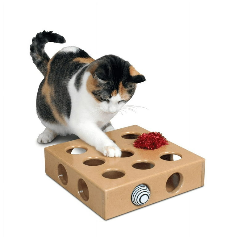 Cat toy hotsell monthly subscription