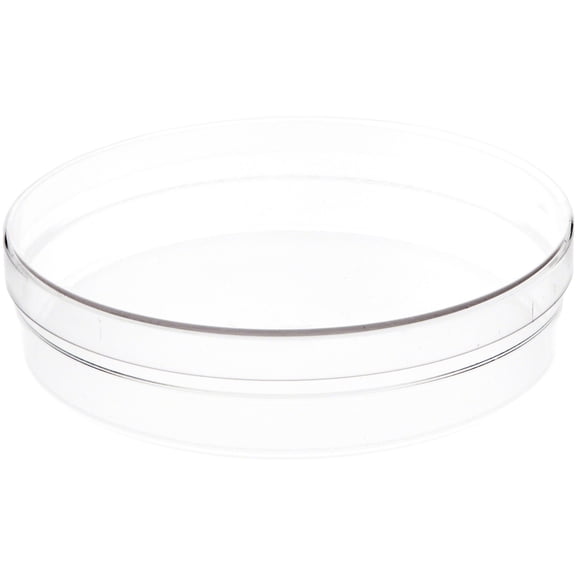 Pioneer Plastics 173C Clear Round Plastic Container with Frosted Bottom, 6" W x 1.375" H, Pack of 12