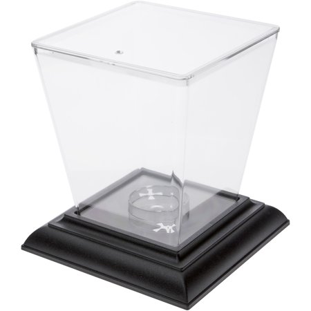 Pioneer Plastics AB1C Clear Plastic Desktop Aquarium with Base, 5.375" W x 5.375" D x 6" H
