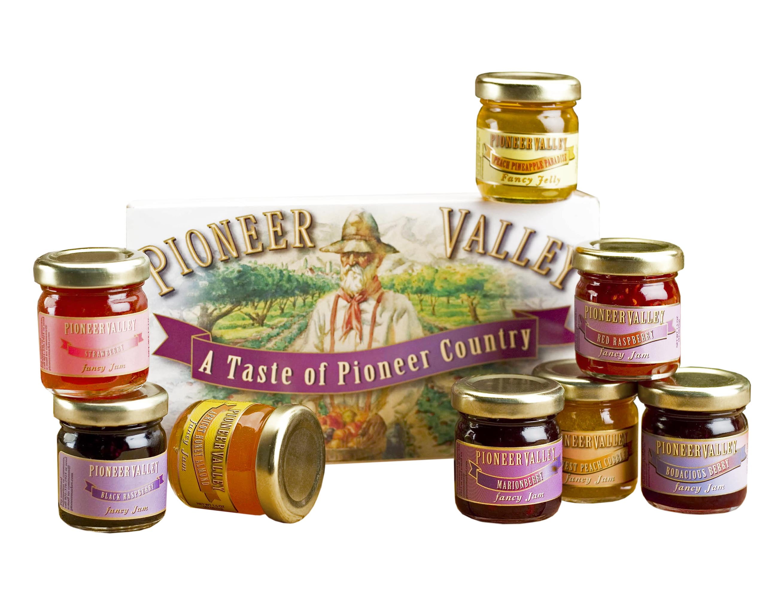 Pioneer Valley Gourmet Mini Jam Jelly Sampler Souvenir Box Gift Set ...