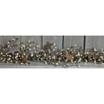 thumbnail image 1 of Pip Berry and Star Garland, 1 of 2