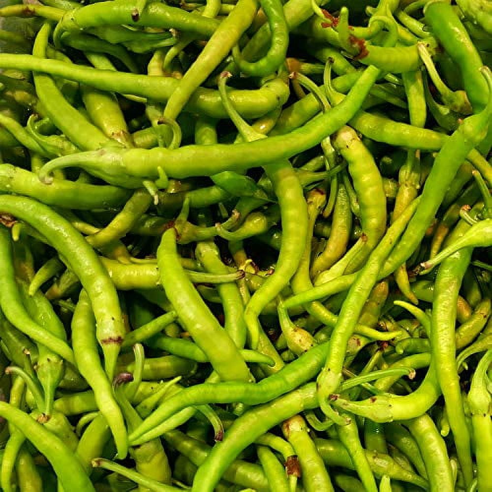 Piparras Basque Green Peppers in Brine 64 ounces
