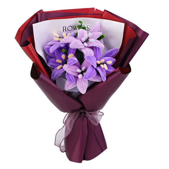 Pipe Cleaners Craft Supplies Kits DIYS Flower Bouquet Kits with Chenilles Stems Floral Wires Kid DIYS Craft Project