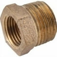 thumbnail image 1 of Anderson Metals 1/2 In. MPT x 1/4 In. FPT Red Brass Hex Reducing Bushing, 1 of 3
