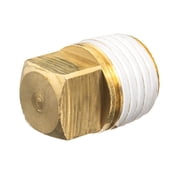 Pipe Fitting w/ Thread Sealant - Brass - Class 125 - Square Head Plug - 2 NPT Male