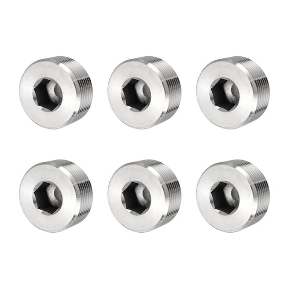 Pipe Plug Stainless Steel Internal Hex Thread Socket - 1-1/4 Inch NPT Male & 6 Pack