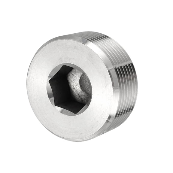 Pipe Plug Stainless Steel Internal Hex Thread Socket - 1-1/4 Inch NPT Male & 6 Pack