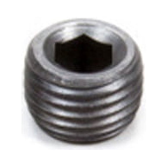 Pipe Plugs - 1/4 (100)