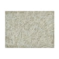 thumbnail image 1 of Piper Rhue 'Desert Sands' Canvas Art, 1 of 3