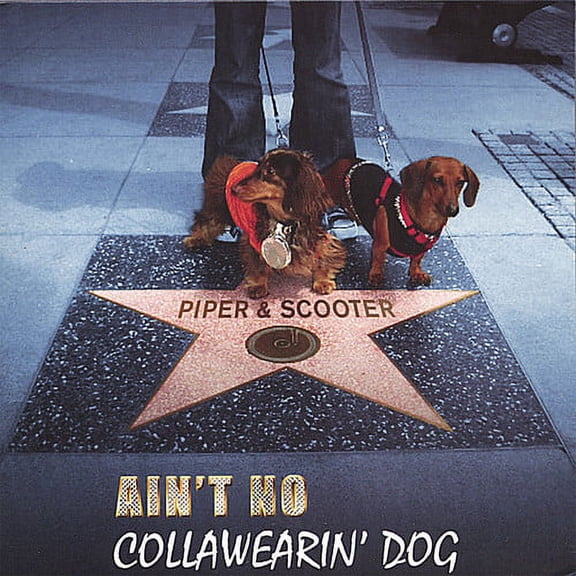 Piper and Scooter - Ain't No Collawearin' Dog - Children's Music - CD