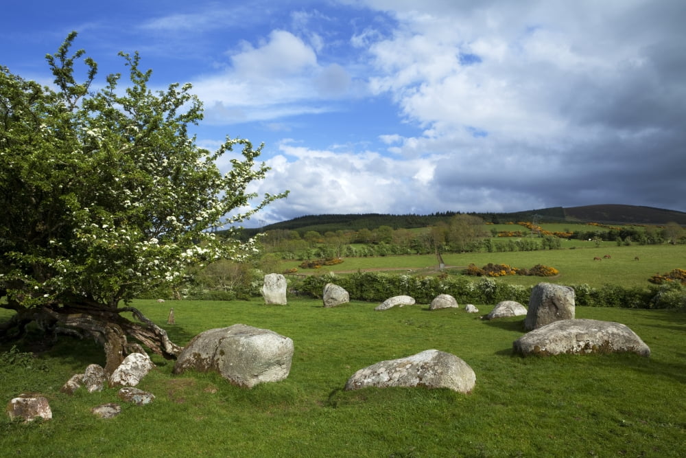 Pipers Stone Bronze Age Stone Circle (1400-800 BC) of 14 Granite Boulders Near Hollywood County Wicklow Ireland Canvas Art - George Munday Design Pics (19 x 12)
