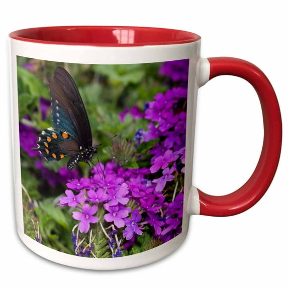 3drose, Pipevine Swallowtail on Homestead Purple Verbena, Marion Co. Il, 11oz Two-tone Red Mug