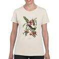 thumbnail image 1 of Piping Flycatcher T-Shirt Women -John James Audubon Designs, Female XX-Large, 1 of 4