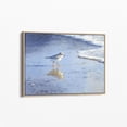 Plover Apps Piping Plover Wall Art Print, Coastal Seashore Bird Decor - Walmart.com