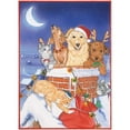 thumbnail image 1 of Pipsqueak Productions C492 Mix Dog With Cat Holiday Boxed Cards, 1 of 1