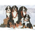 thumbnail image 1 of Pipsqueak Productions C523 Holiday Boxed Cards- Bernese Mountain Dog, 1 of 1