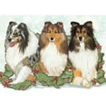 thumbnail image 1 of Pipsqueak Productions C524 Holiday Boxed Cards- Shetland Sheepdogs, 1 of 1