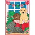 thumbnail image 1 of Pipsqueak Productions C817 Holiday Boxed Cards- Labrador Retrievers Three Colors, 1 of 1