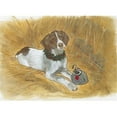 thumbnail image 1 of Pipsqueak Productions C889 Holiday Boxed Cards- Pointer, 1 of 1