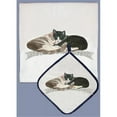 thumbnail image 1 of Pipsqueak Productions DP587 Cat Dish Towel And Pot Holder Set, 1 of 1