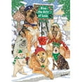 thumbnail image 1 of Pipsqueak Productions  Mix Dog With Cat Holiday Boxed Cards, 1 of 1