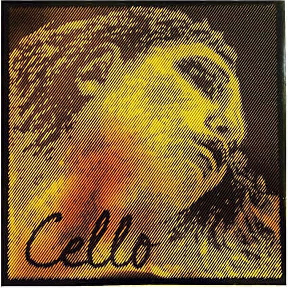 Pirastro Evah Pirazzi Gold 4/4 Cello String Set - Medium Gauge