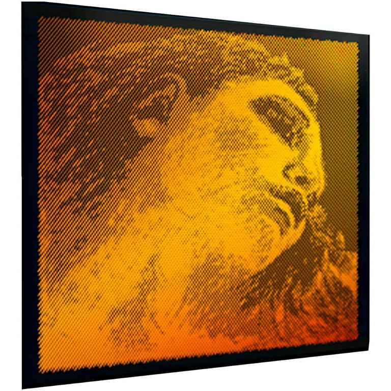 PIRASTRO EVAH PIRAZZI GOLD バイオリン弦 4セット Amazon.com: Pirastro Evah Pirazzi 4/4 Gold Cello String Set