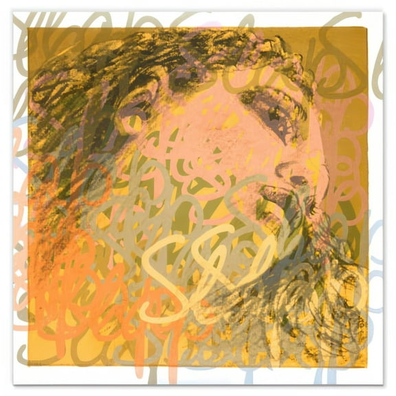 Pirastro Evah Pirazzi Slap 3/4 Double Bass String Set - Medium Tension