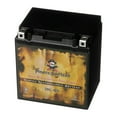 thumbnail image 1 of Pirate Battery YTX30L-BS (30L-BS 12 Volt,30 Ah, 270 CCA) Motorcycle Battery for Harley-davidson Cvo Flh (touring), 1 of 9