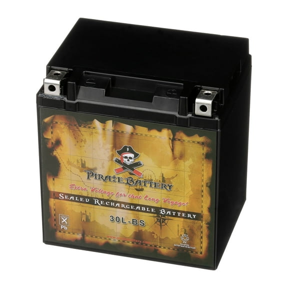 Pirate Battery YTX30L-BS (30L-BS 12 Volt,30 Ah, 385 CCA) Motorcycle Battery for Moto Guzzi V7