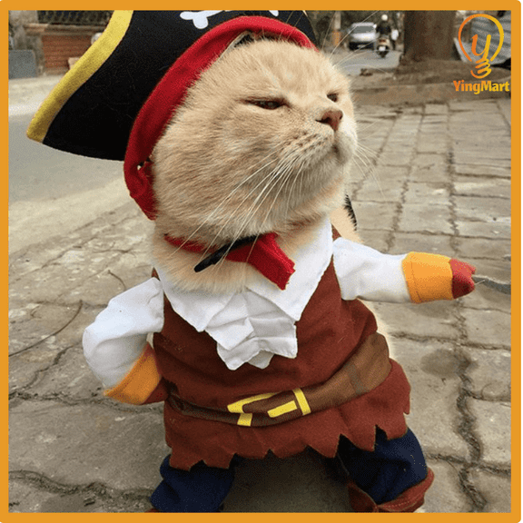 Pirate Costume Set Pet Dog Cat Halloween Christmas YingMart Cosplay Hat Shirt Outfit (PirateCostumeTransformationOutfit, S)