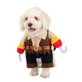 thumbnail image 1 of Pirate Pet Costume, 1 of 3