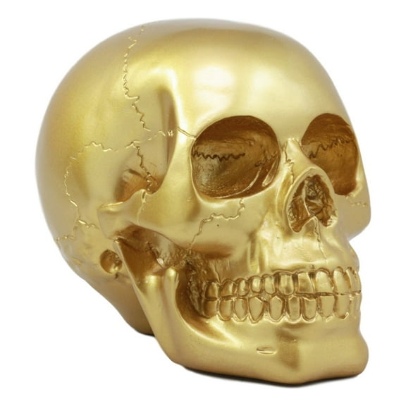 Pirate's Loot Gold Skull Statue Day Of The Dead Skull Head Gothic Resin Figurine