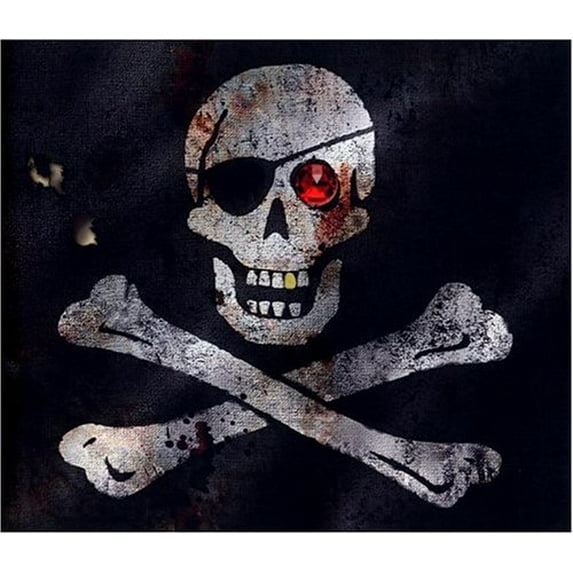 Pre-Owned Pirates (Hardcover) 1416927344 9781416927341